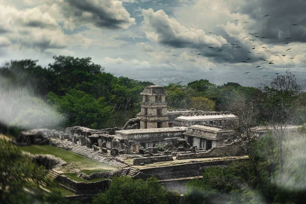 Vahşi Ormanda Gizlenmiş Mistik Antik Maya Şehri Eski Bir Harabenin — Stok fotoğraf