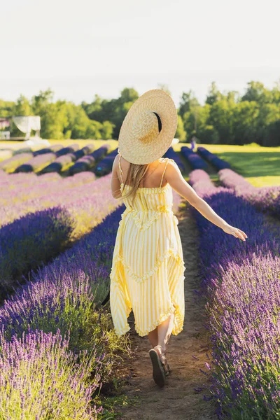 Beautiful Young Woman Field Full Lavender Flowers — Stock Photo, Image