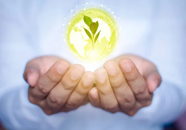 Yeşil toprağı seviyorum, büyüyen bir ağacı.