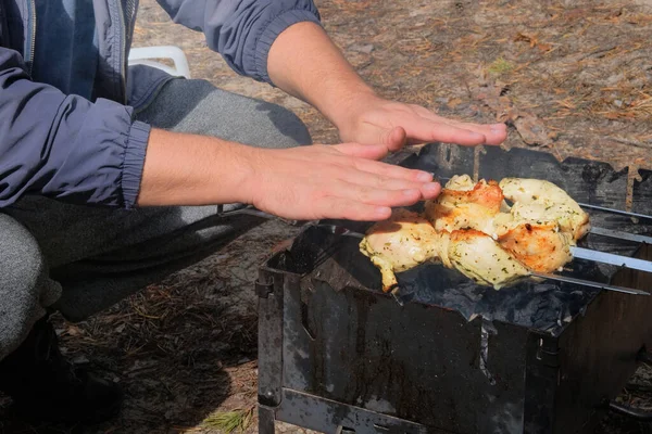 Baharda Izgarada Kızartılıyor Kızarmış Tavuk Eti Parçaları Kömürün Üstünde Doğada — Stok fotoğraf