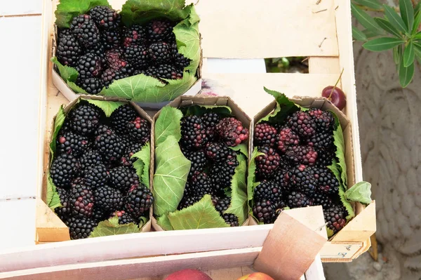 Blackberry Dozen Van Boeren Lokale Markt Gezond Lokaal Biologisch Voedsel — Stockfoto