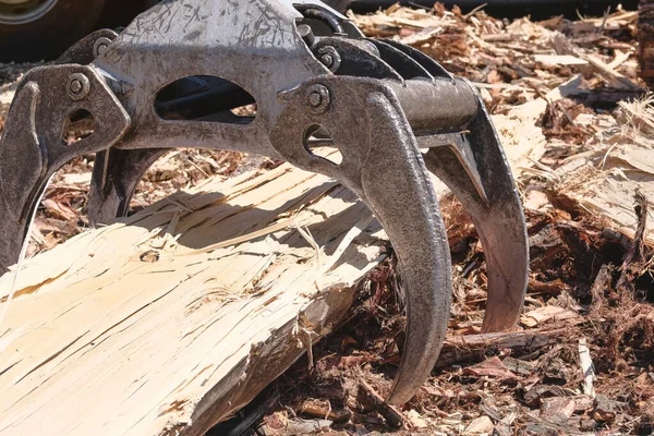 Grote Houtlader Bewerkingen Houtzagerij Bij Een Houtzagerij Brandhout Gesneden Boomstam — Stockfoto