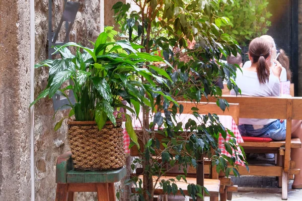 Пота Декоративными Растениями Открытом Кафе Европейском Стиле Размытом Фоне Ландшафтный — стоковое фото