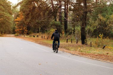 Güneşli bir günde ağaçların arasında kozalaklı ormanda bisiklet sürmek. Bisikletçi korumada. Sağlıklı bir yaşam tarzı. Spor ve aktif yaşam konsepti. 
