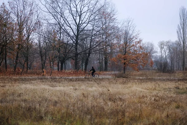 스포츠와 활동적 자전거를 나무들 사이를 달립니다 늦가을 보호하는 자전거타기 — 스톡 사진
