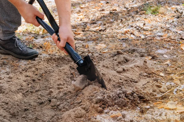 Man Digs Soil Shovel Forest Black Shovel Human Hands Sunny — Foto de Stock