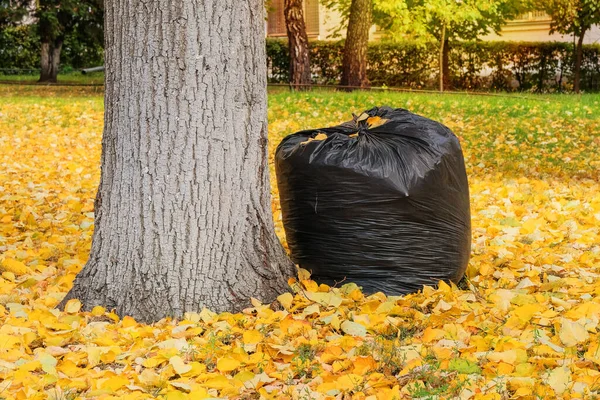 Bag Foliage Recycling Autumn Leaves Sun City Autumn Park Yellow — Stockfoto