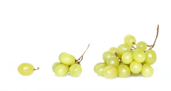 Sultana grape — Stock Photo, Image