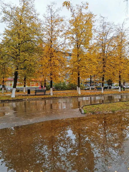 Autumn Rainy Day City — Stock Photo, Image