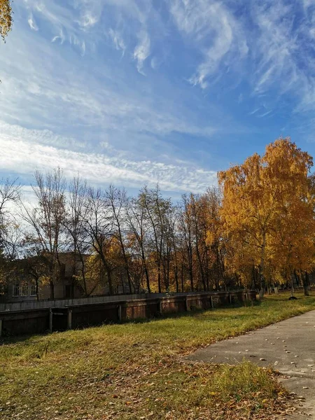 Blick Auf Herbstbäume Rasen Und Blauen Himmel — Stockfoto