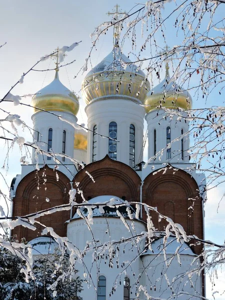 大聖堂と冬の木の枝 — ストック写真
