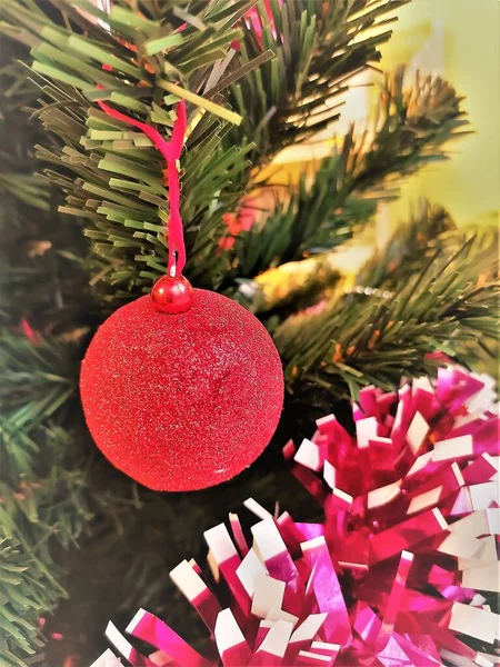 Noel Ağacının Dalında Parlak Kırmızı Top — Stok fotoğraf