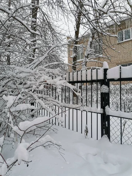 View Winter Trees Fence House Snow — Stock Photo, Image