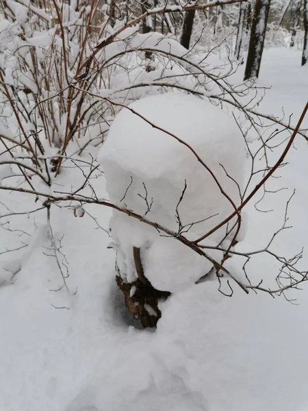Sněhová Čepice Pařezu — Stock fotografie