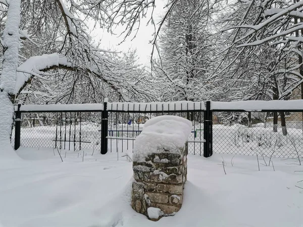 Trees Fence Stone Covered Snow — Stock Photo, Image