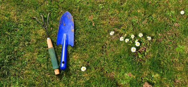 Gras en bloemen van boven met een blauwe schop — Stockfoto