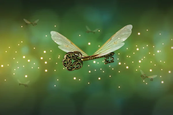 Magische fliegende Schlüsselbedeutung mit Libellenflügeln — Stockfoto