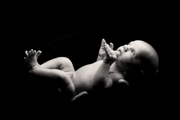 Pasgeboren baby. — Stockfoto