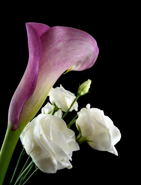 Calla with lisianthus — Stock Photo, Image