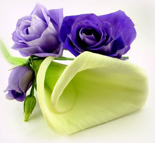 Calla with lisianthus — Stock Photo, Image