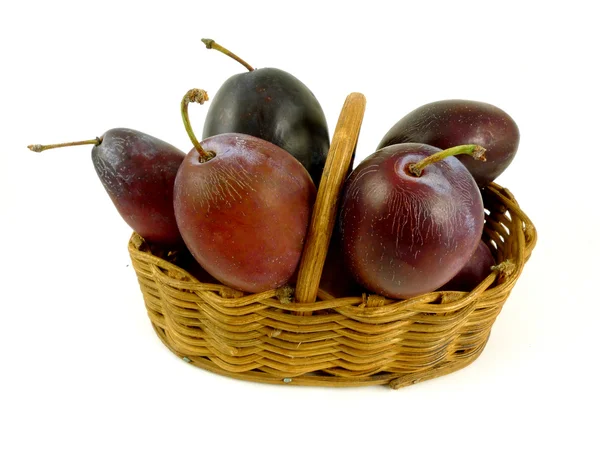 Plum — Stock Photo, Image