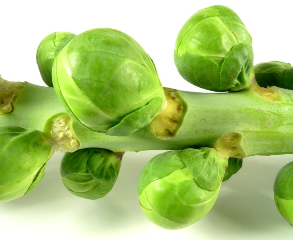 Brussels sprouts — Stock Photo, Image