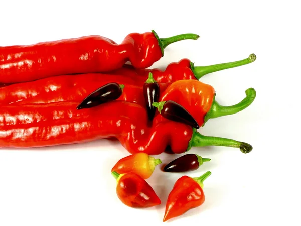 Rode paprika — Stockfoto