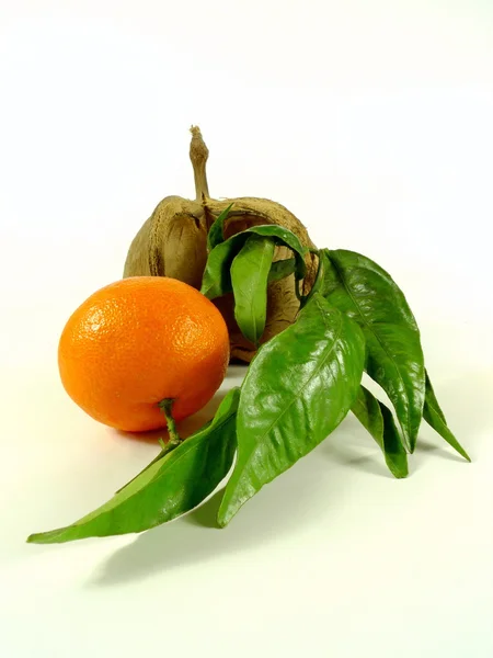 Mandarina con frutos secos —  Fotos de Stock
