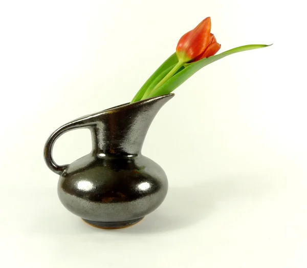 Red tulip in a vase — Stock Photo, Image