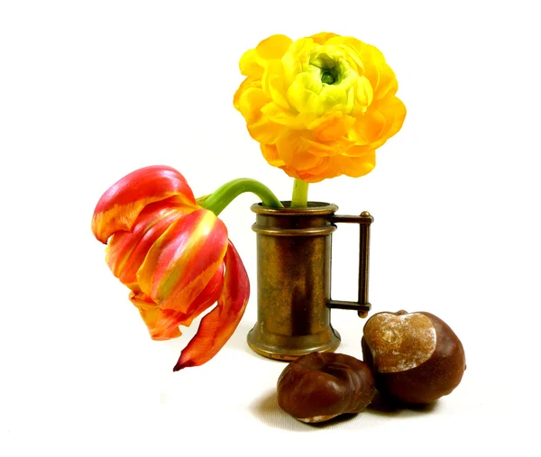 Ranunculus and tulip — Stock Photo, Image