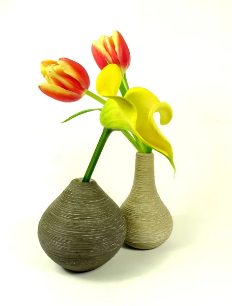 Tulpe und Calla — Stockfoto