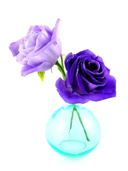 Blue lisianthus — Stock Photo, Image