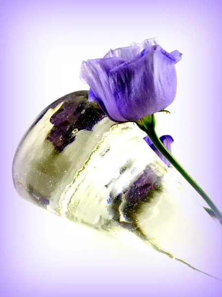 Lisianthus with glas — Stock Photo, Image