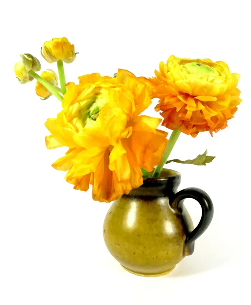 Little ranunculus bouquet — Stock Photo, Image