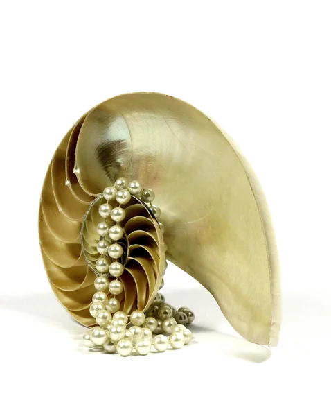 Nautilus z perls — Zdjęcie stockowe