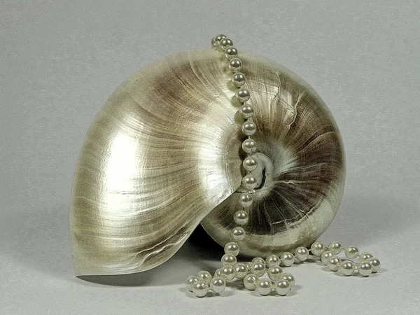 Nautilus con perlas — Foto de Stock