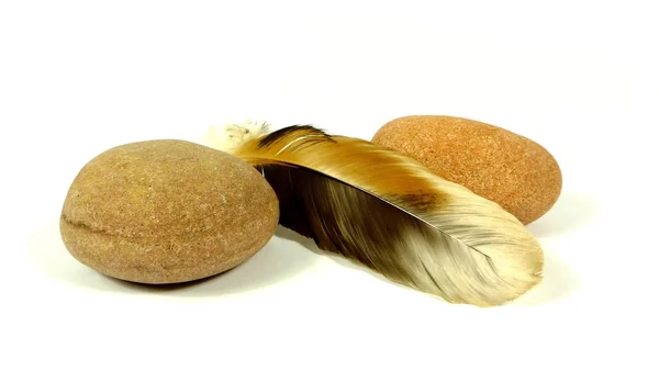 Feather with stones — Stock Photo, Image