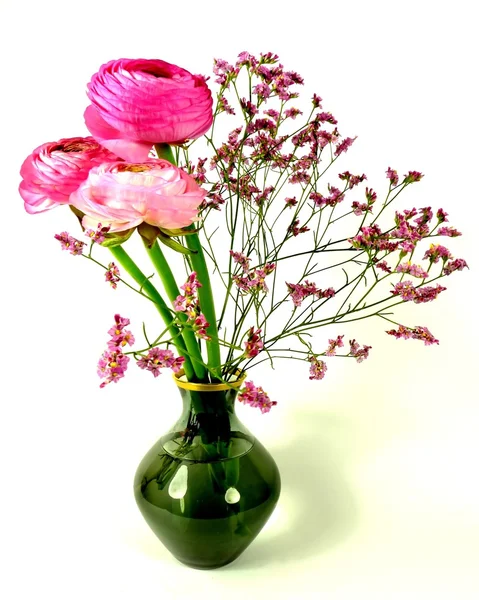 Ranunculus — Stock Photo, Image