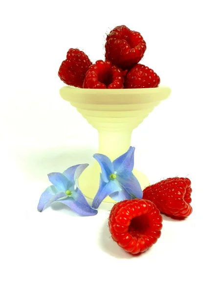 Raspberry bowl — Stock Photo, Image