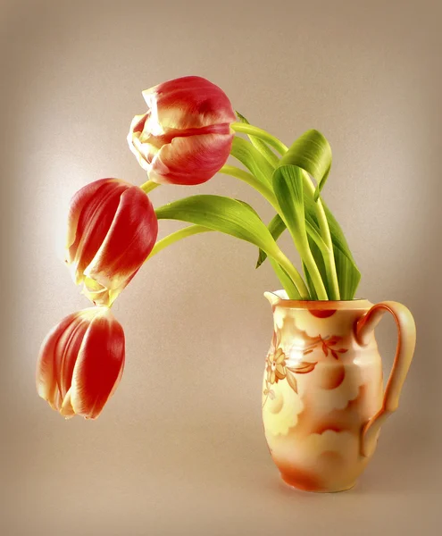 Tulip bouquet — Stock Photo, Image