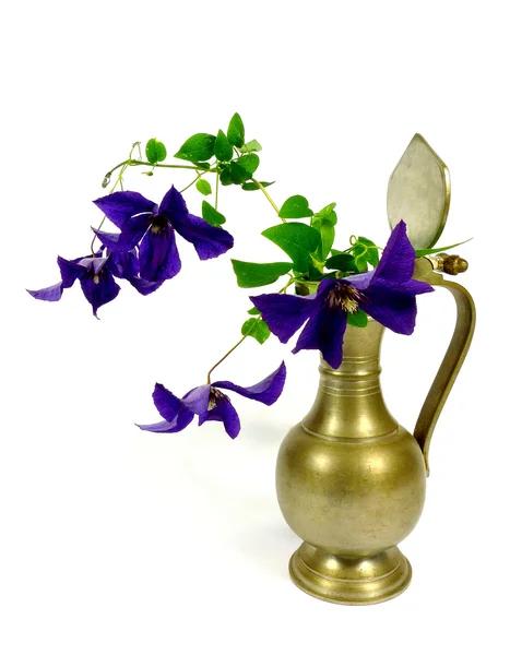 bir sürahi içinde akasma