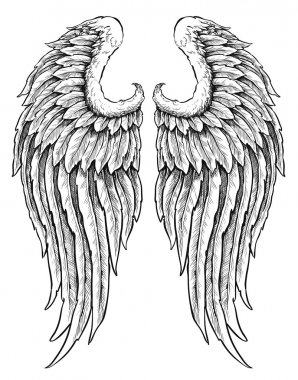 Hand drawn angel wings