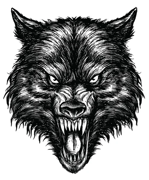 Lobo dibujado a mano — Vector de stock