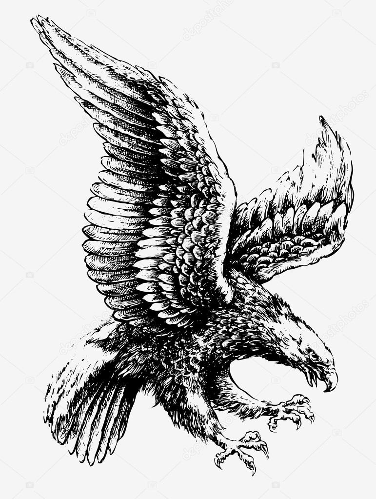 Swooping Tattoo Eagle