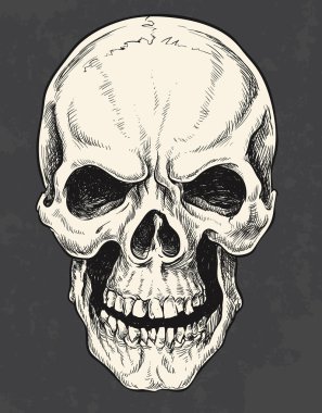 çekilen kafatası vektör el