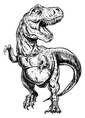 Tyrannosaurus dinozor vektör çizim çizgileri