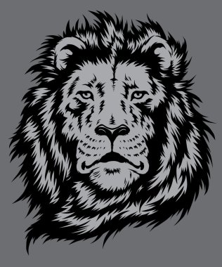 Aslan baş vektör