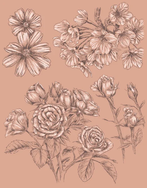 Cuaderno de bocetos detallado conjunto de flores dibujadas a mano — Vector de stock