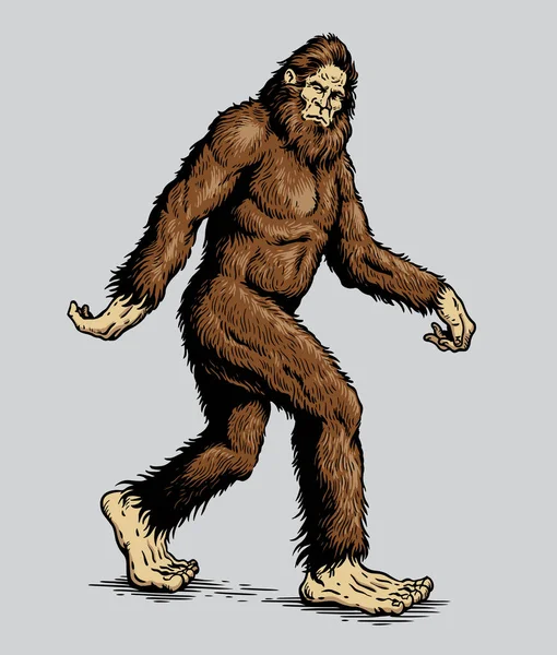 Sasquatch Yeti Bigfoot Caminando Vector Ilustración Vectores de stock libres de derechos