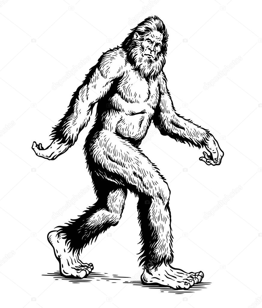 Sasquatch, Yeti, Bigfoot walking vector illustration 